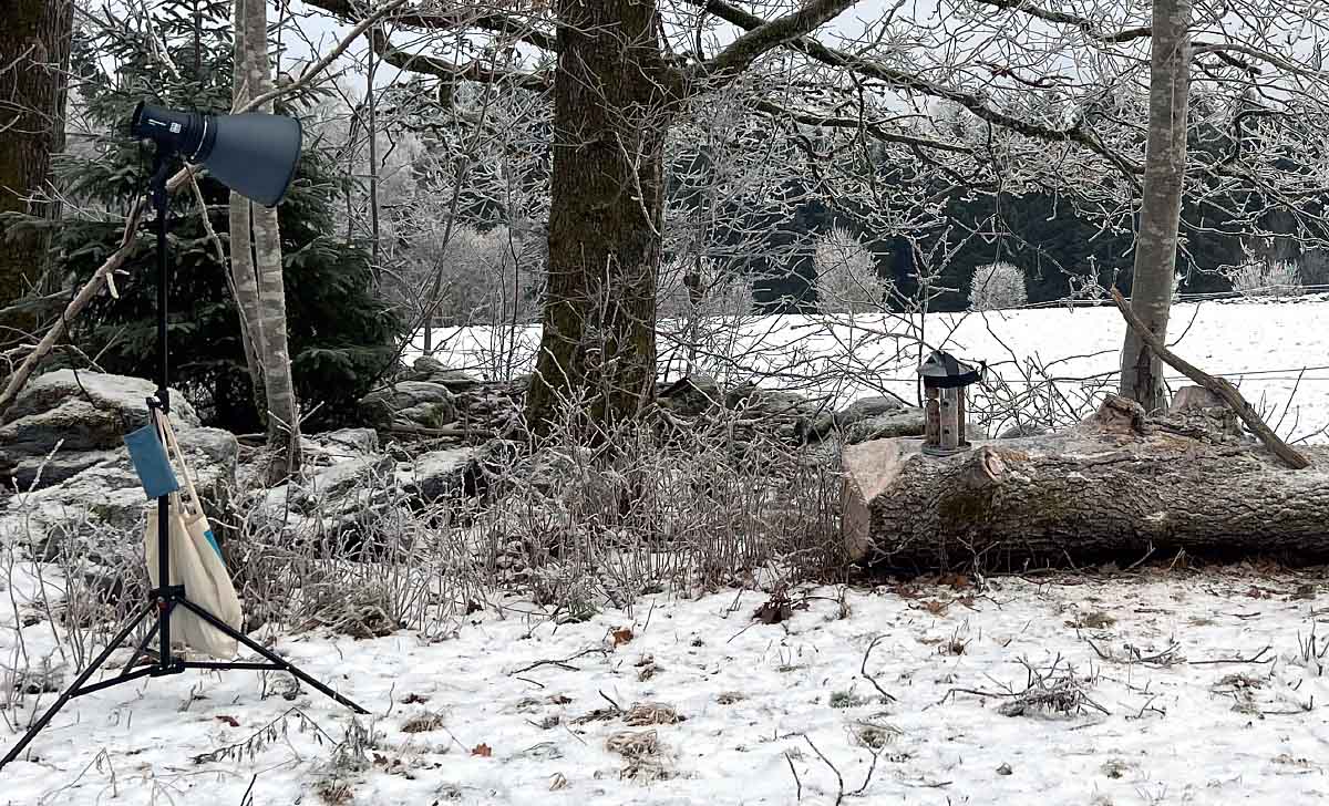 Set-Up im Wald für Vogelfotografie