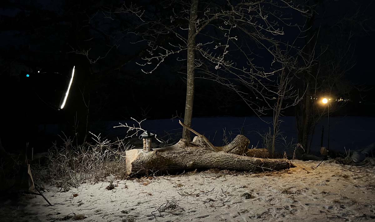 Licht-Set-Up draussen im dunklen Wald