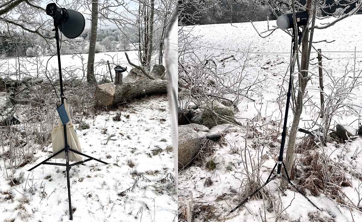 Blitz Set-Up im Wald für die Vogelfotografie