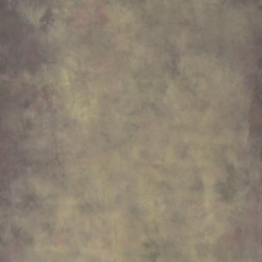 Desert Canvas Hintergrund 1.52x2.13m