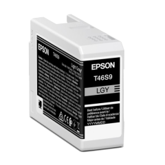 Light Gray 25ml T46S9 SC-P700