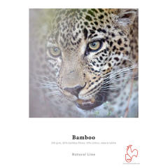 Bamboo 290gm2 - Diverse Grössen