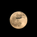 Image 6 de 6