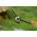 Bild 5 von 8