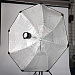 Bild 8 von 16