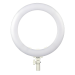 Image 1 de 7