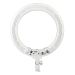 Image 2 de 7