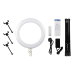 Image 4 de 7
