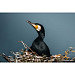 Bild 6 von 8