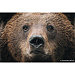 Bild 7 von 8