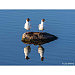 Bild 8 von 8