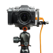 Image 4 de 4